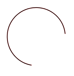 Don Neumatico